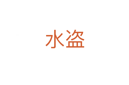 水盗