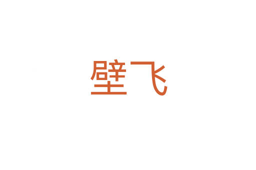 壁飞