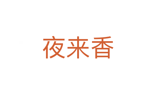 夜来香