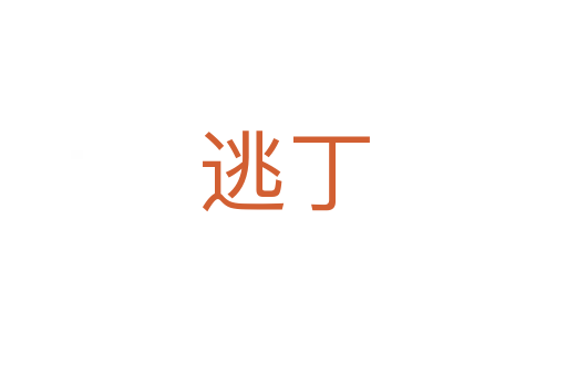 逃丁