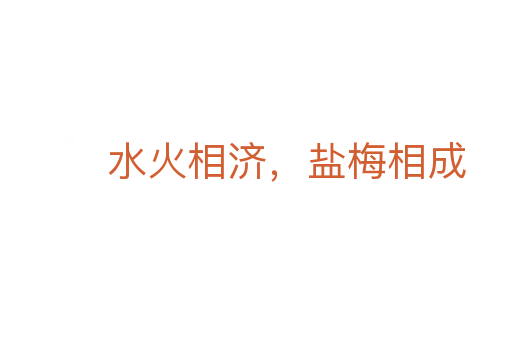 水火相济,盐梅相成