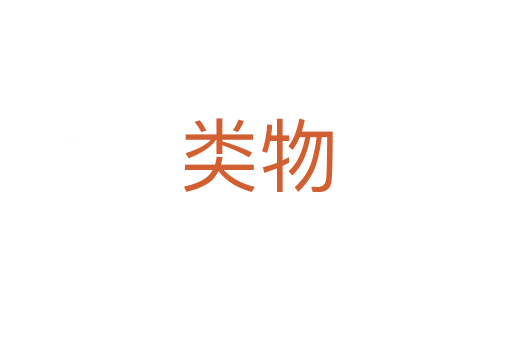 类物