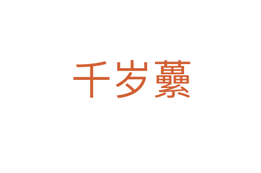 千岁虆