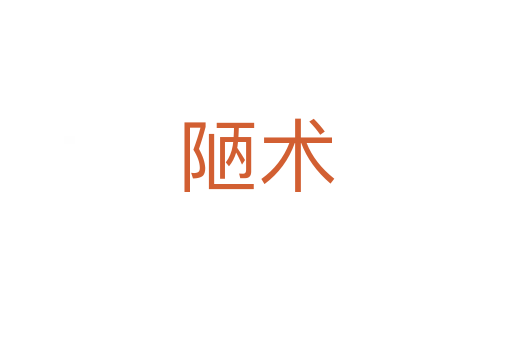 陋术