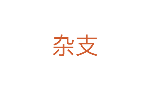 杂支