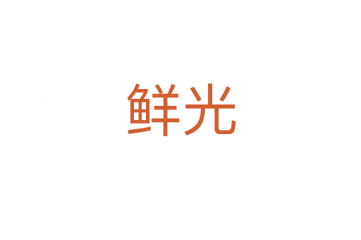 鲜光