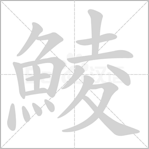 鯪的笔顺动画演示